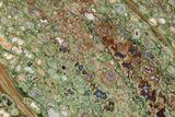Polished Rainforest Jasper (Rhyolite) Slab - Australia #208133-1